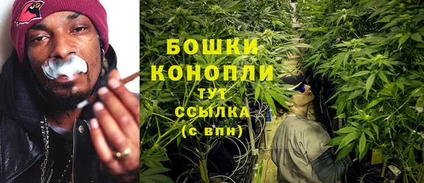 дмт Ельня