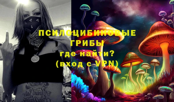 герыч Елабуга
