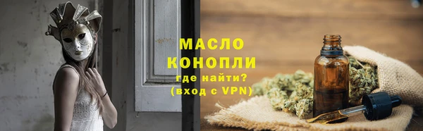 дмт Ельня