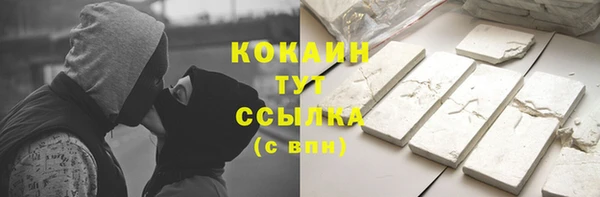 дмт Ельня