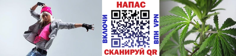 kraken зеркало  Северо-Курильск  Шишки марихуана план 